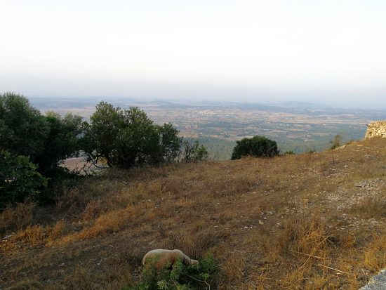 Santuari de Cura