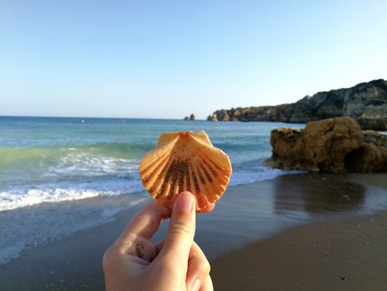 Praia Dona Ana Praia Dona Ana